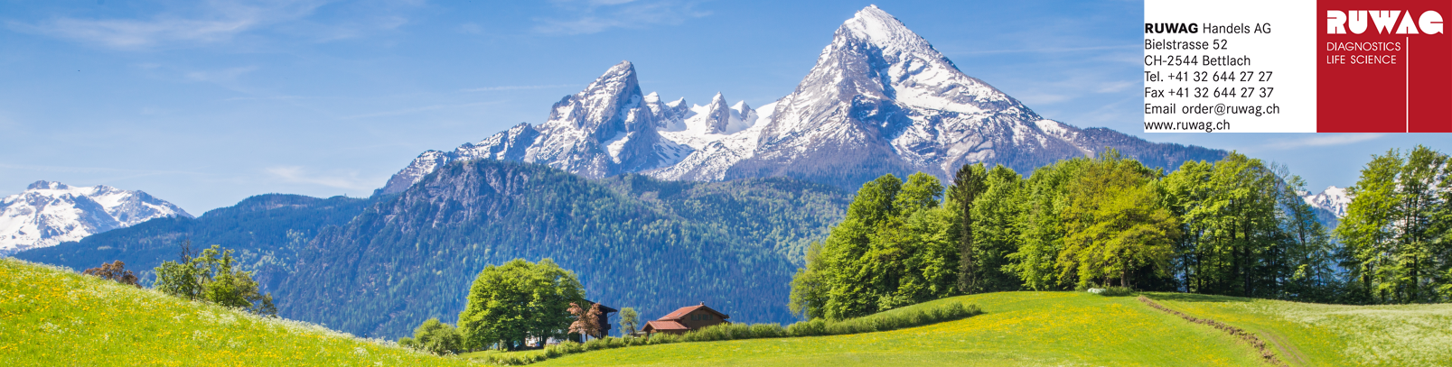 BANNER-LOGO-RECHTS56c5ea83efccc