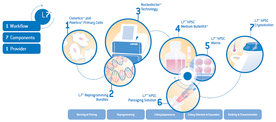 9017-STEMCELLMEDIA-1